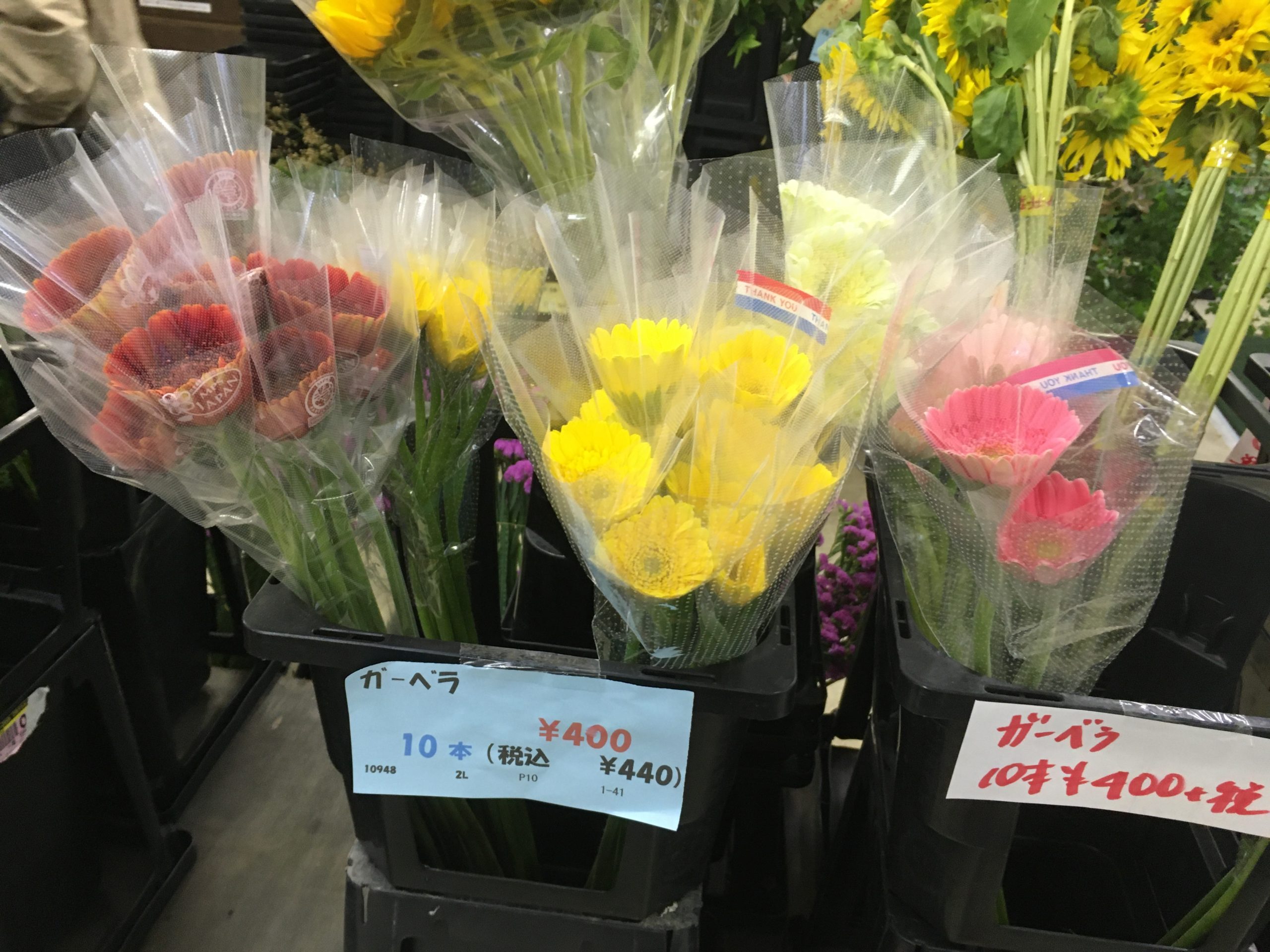 激安花屋に行ってきた お花のある生活 横浜駅西口 安い花屋 横浜